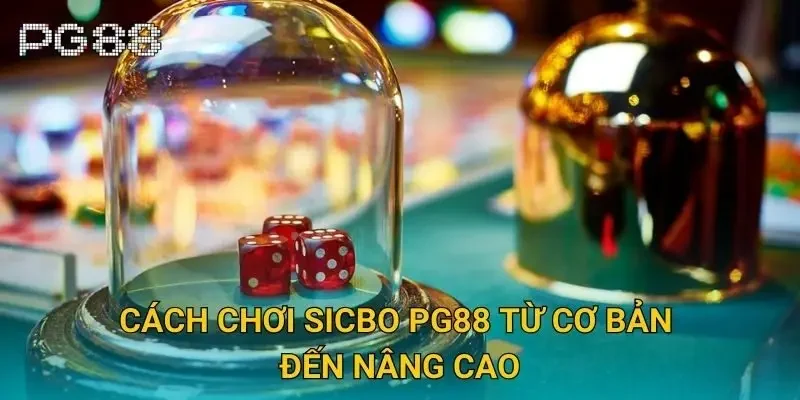 Cách chơi sicbo Pg88 từ cơ bản đến nâng cao Cách chơi sicbo Pg88 từ cơ bản đến nâng cao